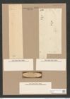 Pleurosigma strigile W.Sm. (de-Toni-Nr.: Genus 13, Species 1082) Zeichnungen Sammlung Grunow Nr. 1983 (NHMW-BOT-W0369132)
